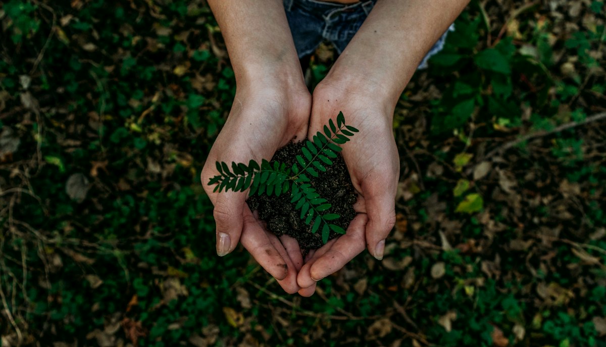 Green Earth restoration field